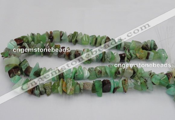CAU408 15.5 inches 5*10mm - 10*15mm Australia chrysoprase chips beads