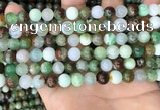 CAU436 15.5 inches 8mm round Australia chrysoprase beads wholesale
