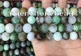 CAU438 15.5 inches 12mm round Australia chrysoprase beads wholesale