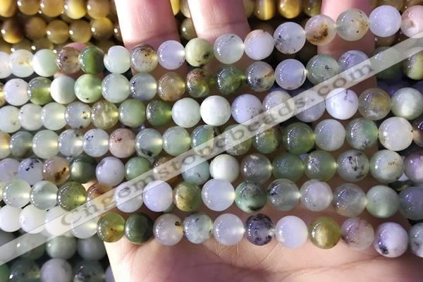 CAU461 15.5 inches 8mm round Australia chrysoprase beads