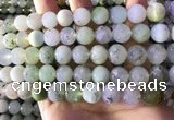 CAU463 15.5 inches 11mm - 12mm round Australia chrysoprase beads