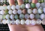 CAU464 15.5 inches 13mm - 14mm round Australia chrysoprase beads