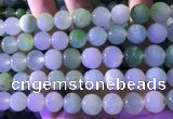 CAU475 15.5 inches 13mm round Australia chrysoprase beads