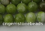 CAU502 15.5 inches 8mm round Chinese chrysoprase beads wholesale