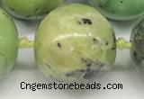 CAU545 15.5 inches 18mm round Australia chrysoprase gemstone beads