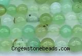 CAU569 15 inches 5mm round Australia chrysoprase beads