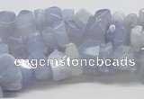 CBC06 15.5 inches 12mm blue chalcedony chips beads wholesale