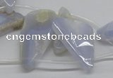 CBC15 15.5 inches freeform blue chalcedony beads wholesale