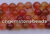 CBC410 15.5 inches 4mm AA grade round orange chalcedony beads