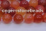 CBC414 15.5 inches 12mm AA grade round orange chalcedony beads