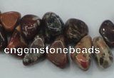 CBD16 15.5 inches 8*12mm chip brecciated jasper gemstone beads