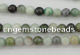 CBJ608 15.5 inches 6mm round jade beads wholesale