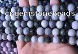 CBJ723 15.5 inches 10mm round jade gemstone beads wholesale