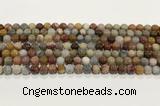 CBJ740 15.5 inches 6mm round petrified wood jade gemstone beads wholesale