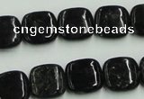 CBT06 16 inches 14*14mm square natural biotite beads wholesale