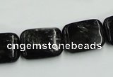 CBT07 16 inches 15*20mm rectangle natural biotite beads wholesale