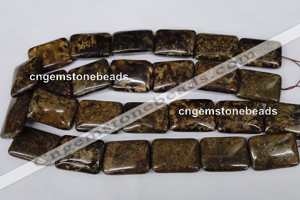 CBZ424 15.5 inches 22*30mm rectangle bronzite gemstone beads