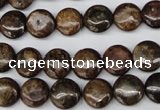 CBZ71 15.5 inches 10mm flat round bronzite gemstone beads