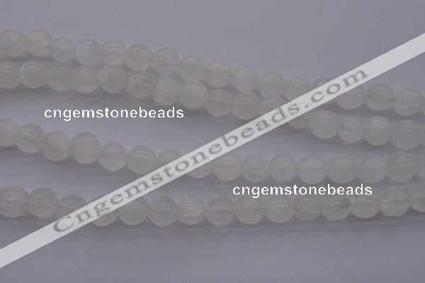 CCA354 15.5 inches 10mm round white calcite beads wholesale