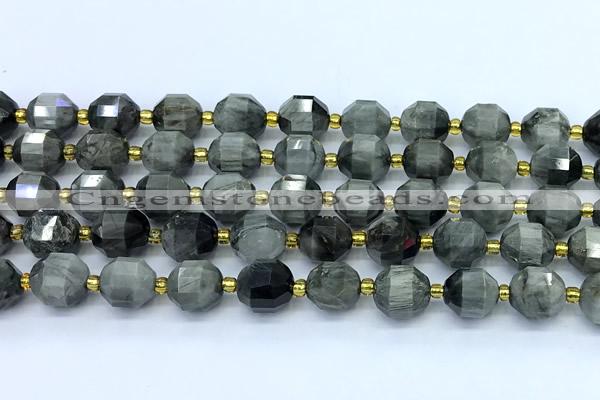 CCB1266 15 inches 9*10mm faceted eagle eye jasper beads