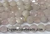 CCB1369 15 inches 4mm faceted coin morganite beads