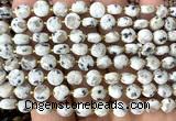 CCB1787 15 inches 6mm faceted coin sesame jasper beads