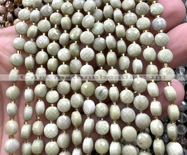 CCB1789 15 inches 6mm faceted coin Alashan jasper beads