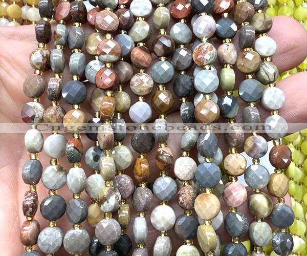 CCB1793 15 inches 6mm faceted coin American picture jasper beads