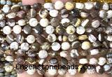 CCB1796 15 inches 6mm faceted coin Australian zebra jasper beads