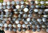 CCB1810 15 inches 6mm faceted coin eagle eye jasper beads