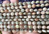 CCB1815 15 inches 6mm faceted coin Chinese unakite beads