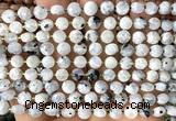 CCB1834 15 inches 6mm faceted coin white moonstone beads