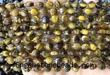 CCB1851 15 inches 6mm faceted coin yellow tiger eye beads