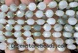 CCB1914 15 inches 8mm faceted coin green rutilated quartz beads