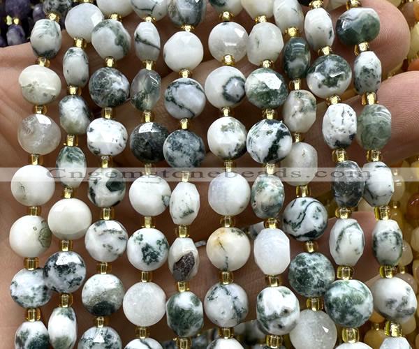 CCB1933 15 inches 8mm faceted coin tree agate beads wholesale