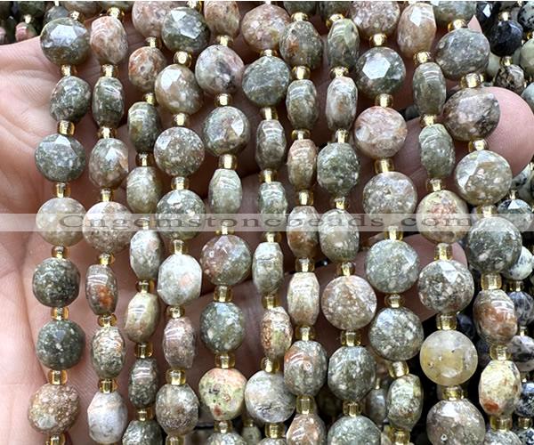 CCB2004 15 inches 8mm faceted coin Chinese unakite beads