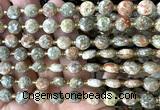 CCB2004 15 inches 8mm faceted coin Chinese unakite beads
