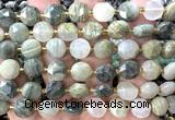 CCB2096 15 inches 10mm faceted coin seaweed quartz beads