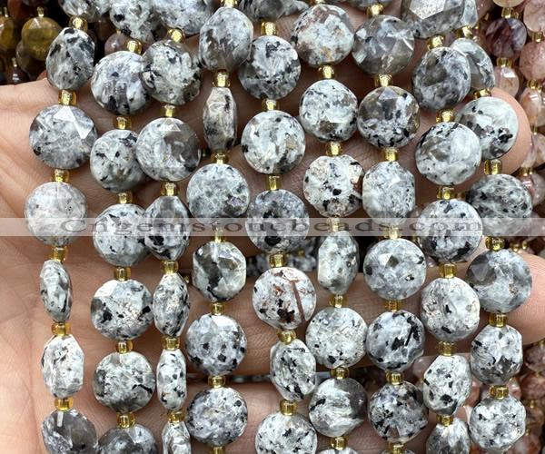 CCB2158 15 inches 10mm faceted coin yooperlite flame jasper beads
