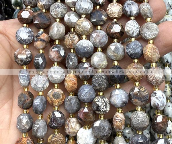 CCB2179 15 inches 10mm faceted coin fossil coral beads