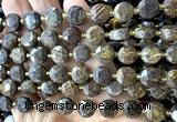 CCB2196 15 inches 10mm faceted coin bronzite gemstone beads
