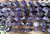 CCB2302 15 inches 12mm faceted coin dogtooth amethyst beads