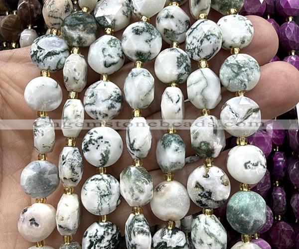 CCB2318 15 inches 12mm faceted coin tree agate gemstone beads