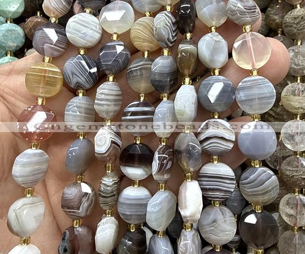 CCB2320 15 inches 12mm faceted coin Botswana agate beads