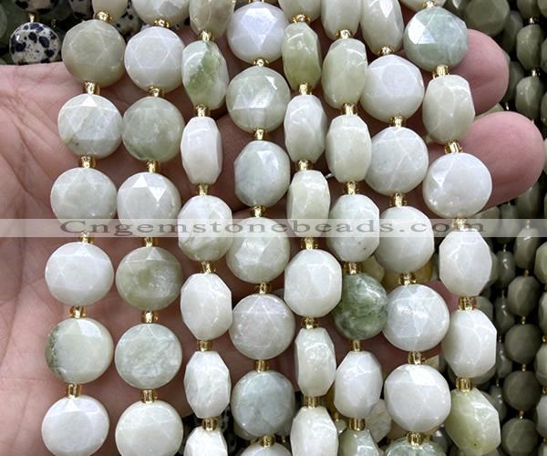 CCB2329 15 inches 12mm faceted coin Tianshan jade beads