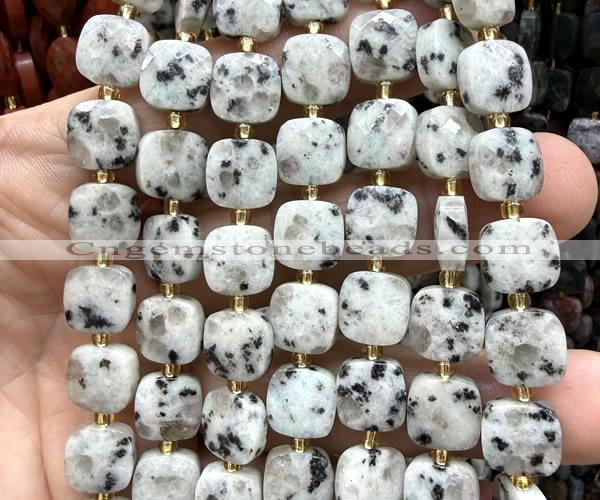 CCB2405 15 inches 10mm faceted square sesame jasper beads