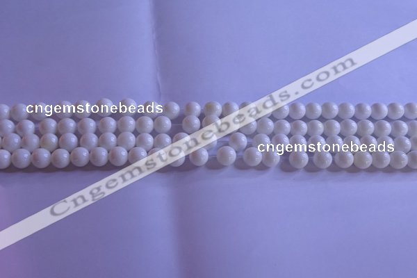 CCB400 15.5 inches 4mm round white tridacna beads wholesale