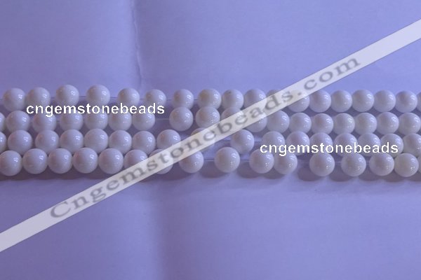 CCB402 15.5 inches 8mm round white tridacna beads wholesale