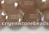 CCB683 15.5 inches 10mm faceted coin moonstone gemstone beads