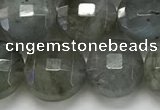 CCB684 15.5 inches 10mm faceted coin labradorite gemstone beads